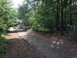 IMG_0009.jpg